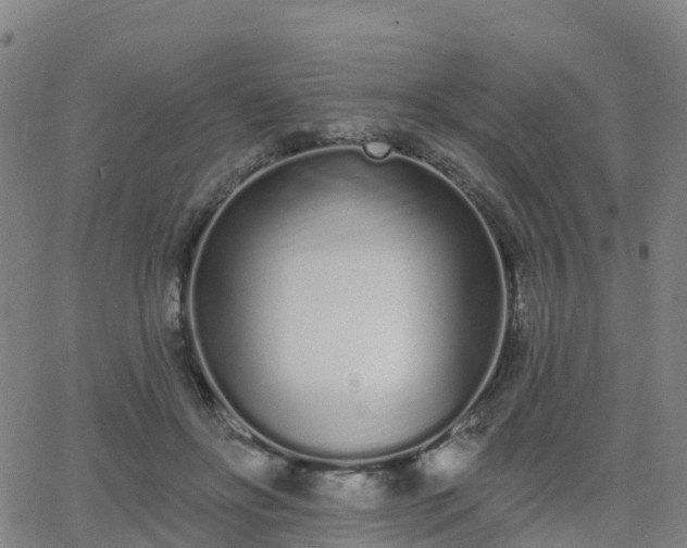 X0000064050502200601301217