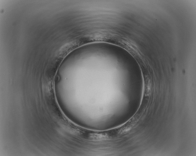 X0000064050503200601301217