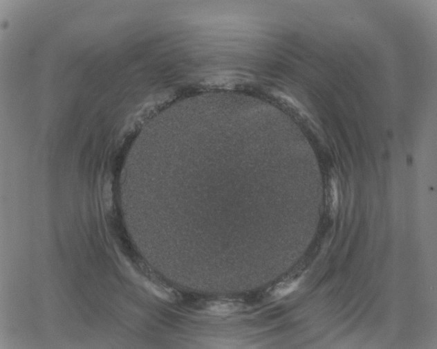 X0000064050504200601301217