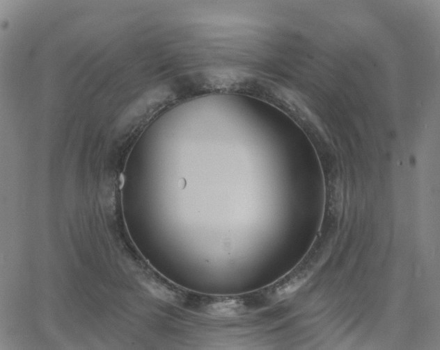 X0000064050505200601301217