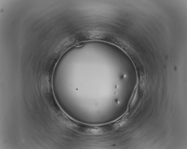 X0000064050506200601301217