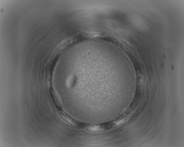 X0000064050507200601301217