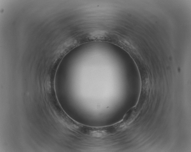 X0000064050508200601301217