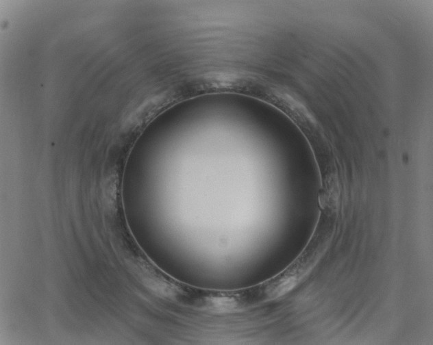 X0000064050509200601301217