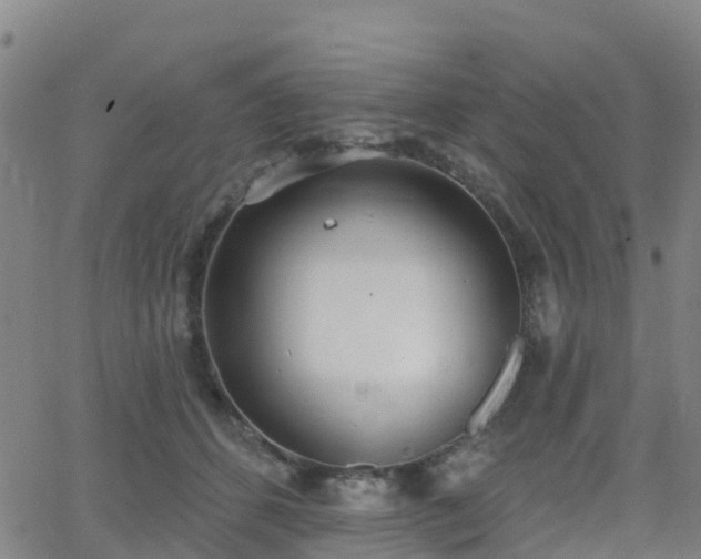 X0000064050512200601301217