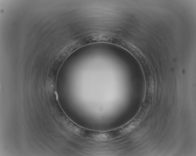 X0000064050513200601301217