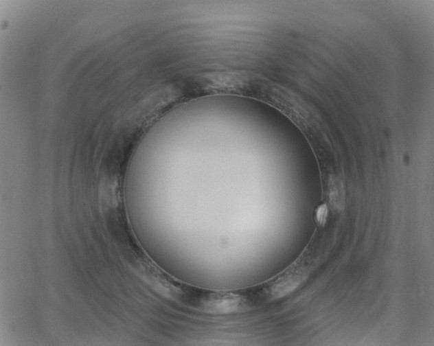 X0000064050514200601301217