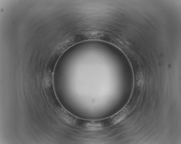 X0000064050515200601301217