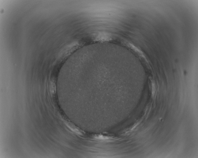 X0000064050517200601301217