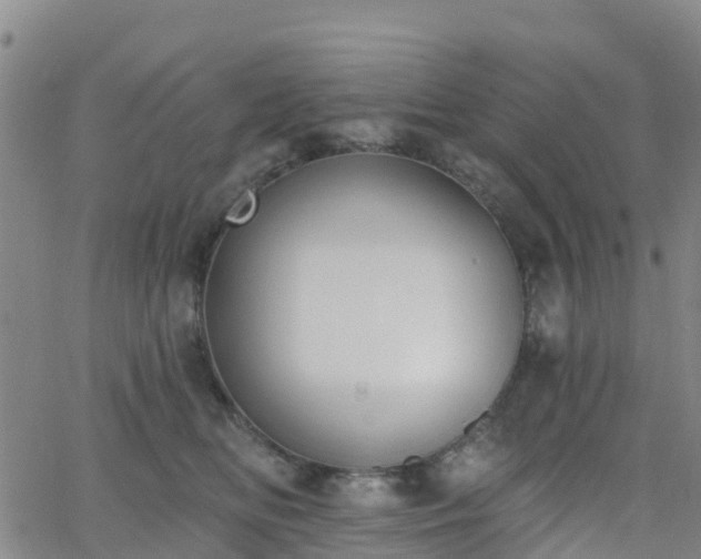 X0000064050518200601301217