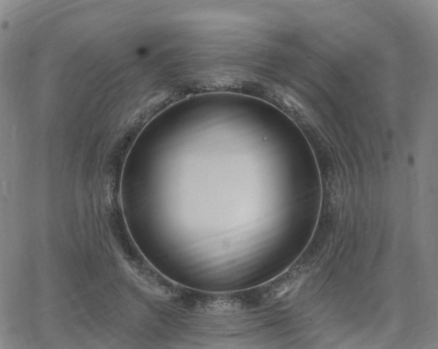 X0000064050546200601301216