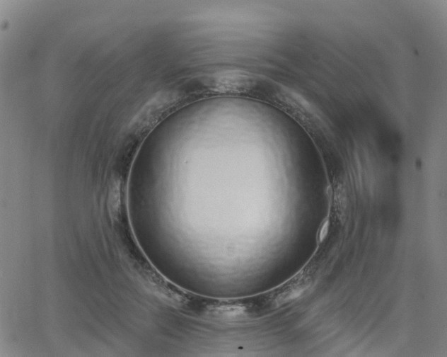 X0000064050554200601301216