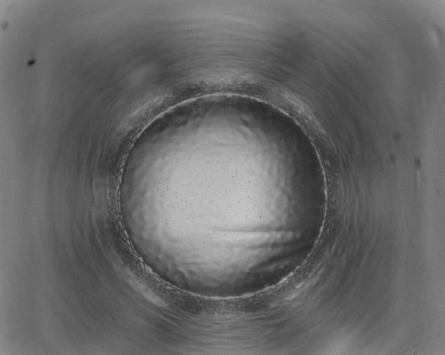 X0000064050590200601301215