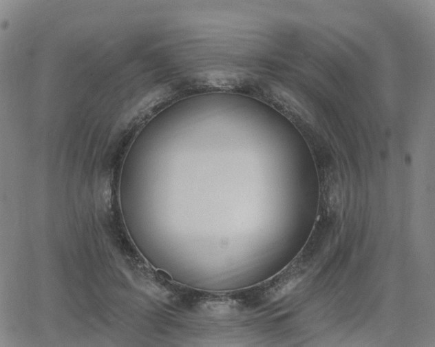 X0000064050595200601301215