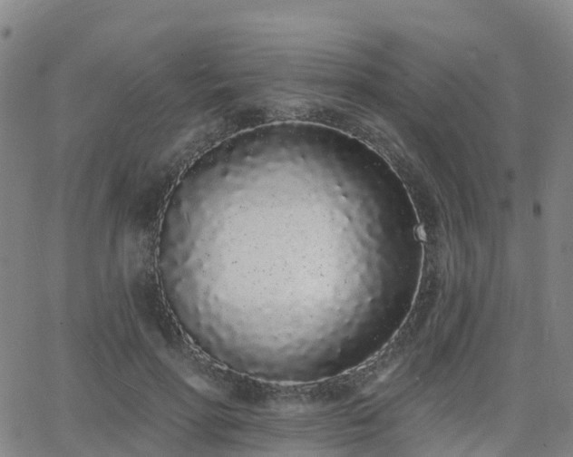 X0000064050598200601301215