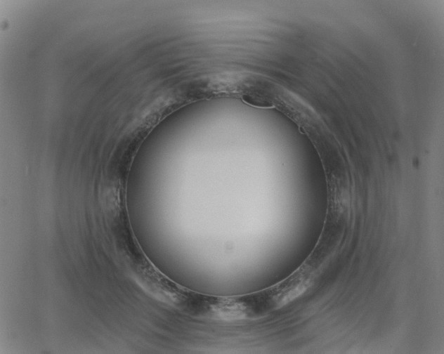 X0000064050603200601301215