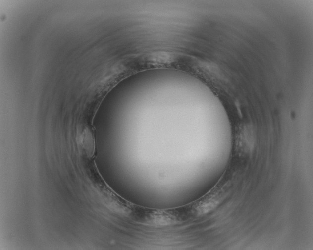 X0000064050608200601301215