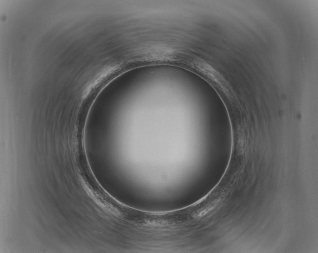 X0000064050677200601301214