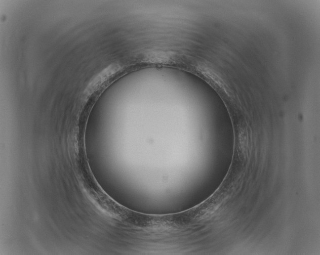 X0000064050682200601301214