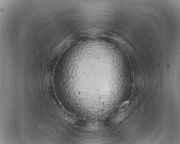 X0000064050757200601301213