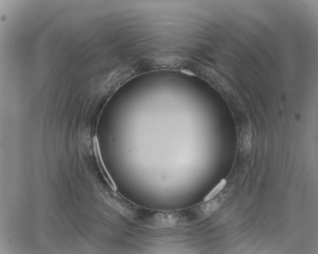 X0000064050764200601301213