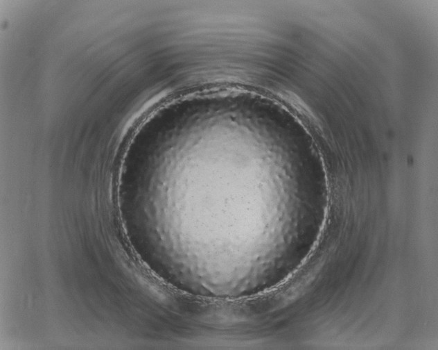 X0000064050790200601301212
