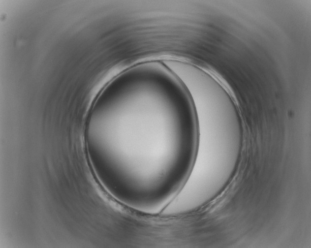 X0000064050813200601301212