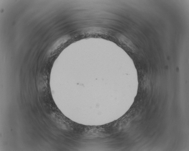 X0000064050824200601301211