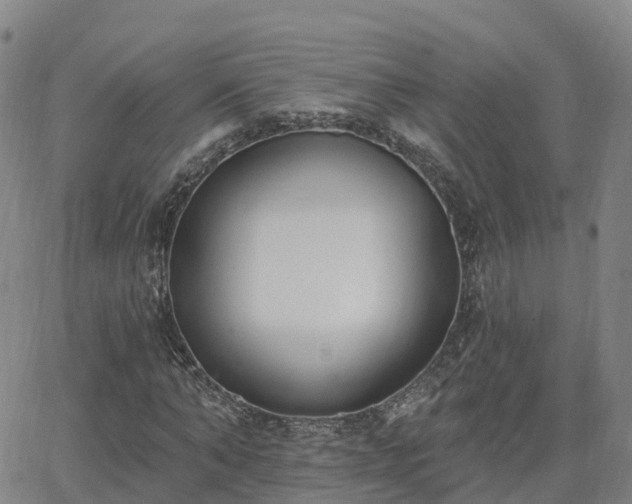 X0000064050870200601301211
