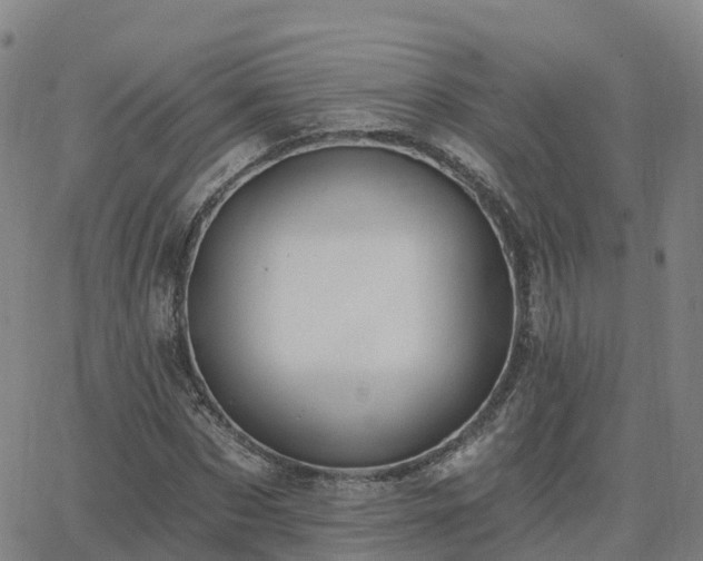 X0000064050873200601301211