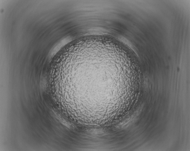 X0000064050874200601301211