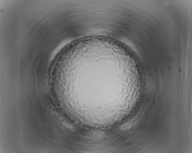X0000064050878200601301211