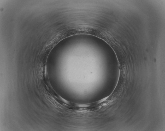 X0000064050916200601301209