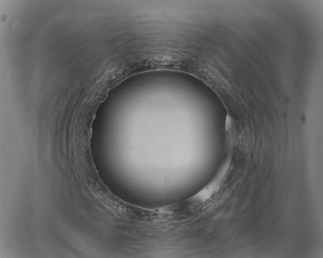 X0000064050961200601301209