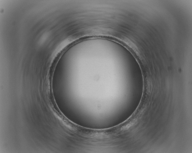 X0000064050982200601301209