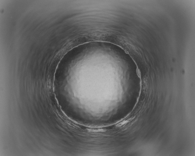 X0000064051011200601301208