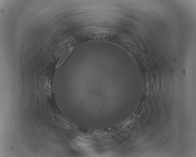 X0000064051013200601301208