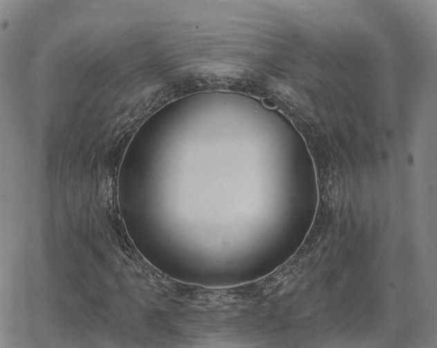 X0000064051061200601301208