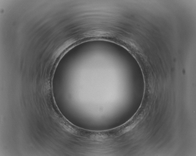 X0000064051073200601301208