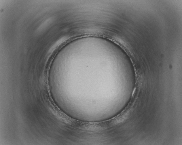 X0000064051074200601301208