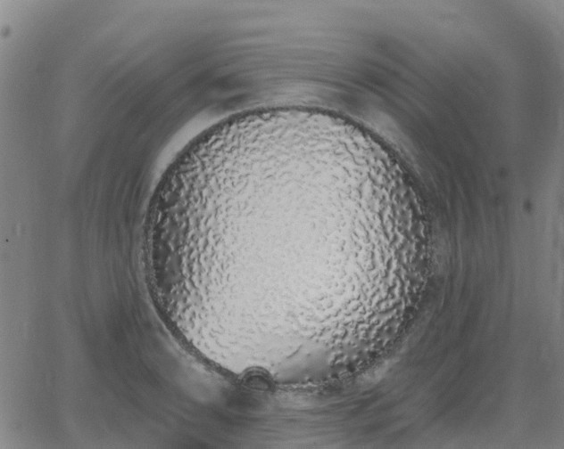 X0000064051086200601301207
