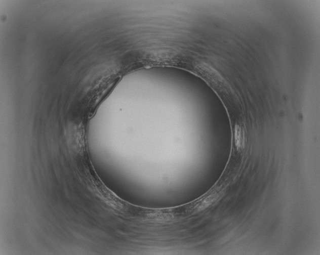 X0000064051107200601301206
