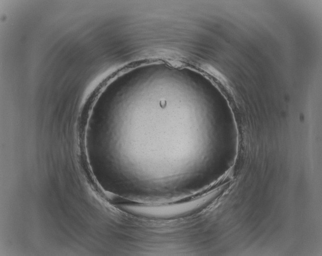 X0000064051120200601301207