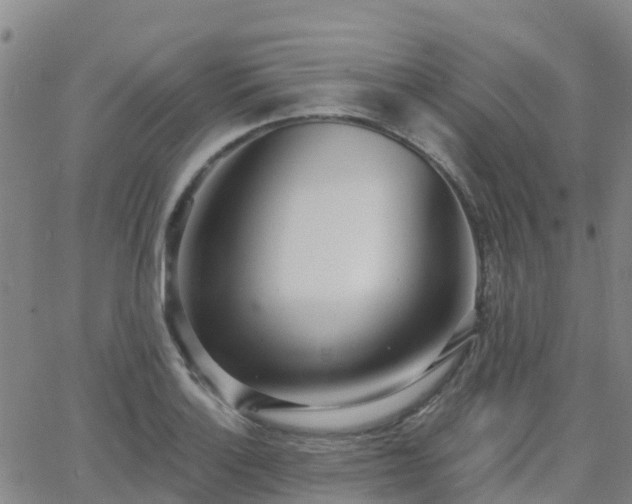 X0000064051132200601301207