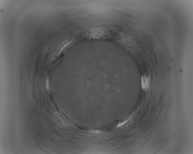 X0000064051155200601301206