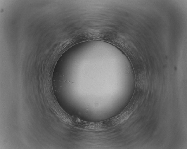 X0000064051201200601301205