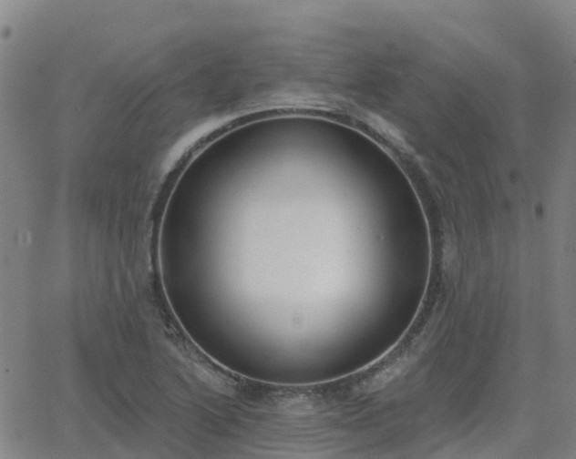 X0000064051222200601301205