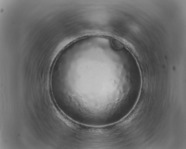 X0000064051231200601301205