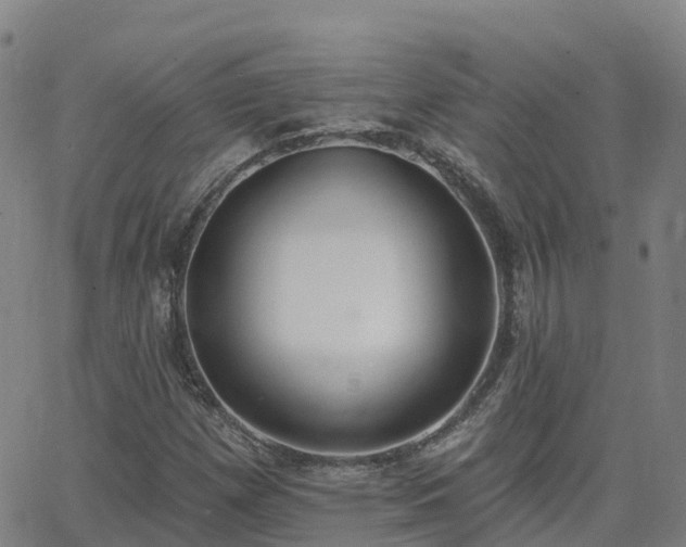 X0000064051257200601301205
