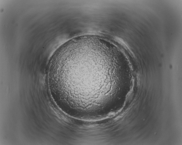 X0000064051260200601301205